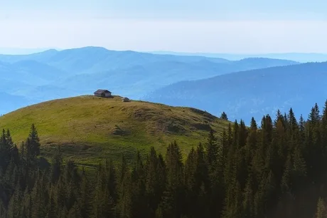 Peisaj montan cu păduri și o cabană pe un deal verde.