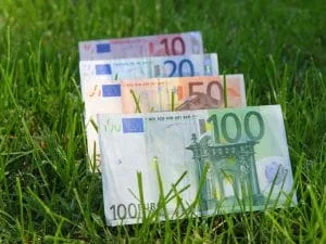 Bancnote de euro așezate pe iarbă verde, simbolizând investiții și afaceri.