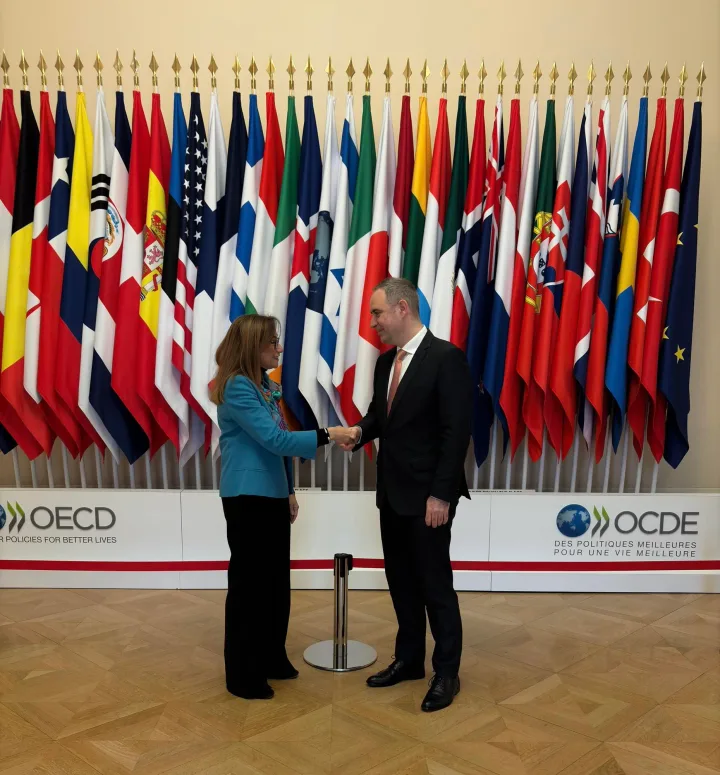 Întâlnire oficială între reprezentanți ai statelor la OECD.