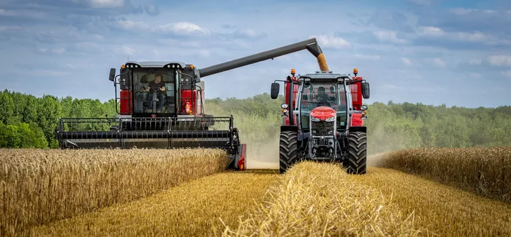 Tractoare în câmp, recolta de grâu în plină desfășurare.