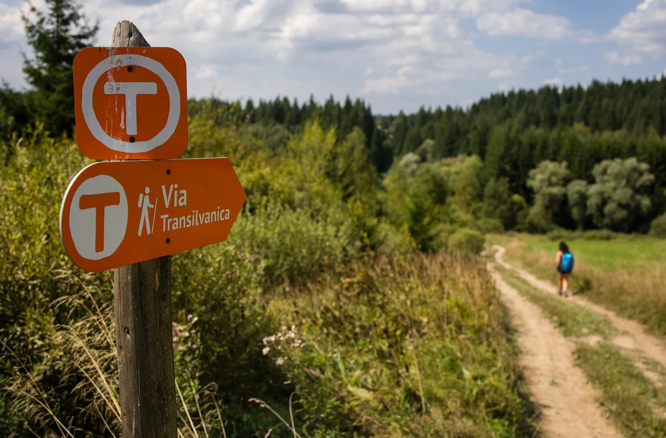 Marcaj al traseului Via Transilvanica în natură, cu peisaj verde.