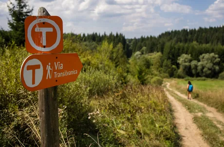 Marcaj al traseului Via Transilvanica în natură, cu peisaj verde.