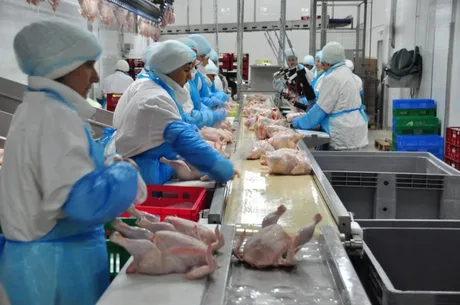 Angajați care procesează carne de pasăre într-o unitate modernă.