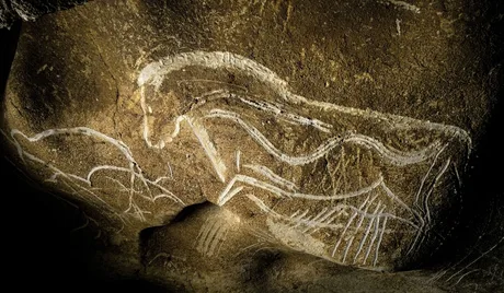 Desen rupestru din Peștera Chauvet, reprezentând animale preistorice.