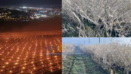 Culturile agricole protejate de îngheț cu lumini și focuri în timpul nopții.