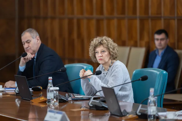 Oana Gheorghiu la o ședință, discutând despre votul conform conștiinței.