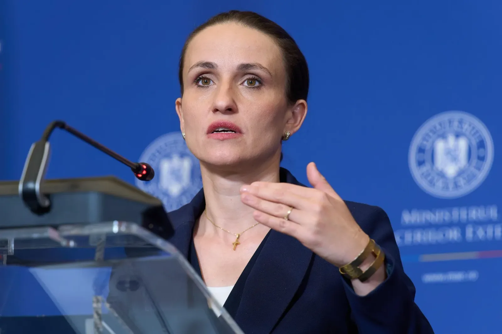 Oana Țoiu discutând despre eliberarea activiștilor reținuți în Gaza.