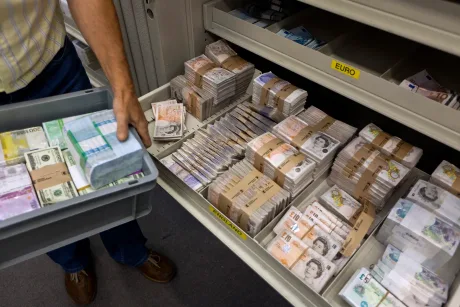 Bancnote de euro și dolari organizate pe rafturi, evidențiind rezervele valutare.