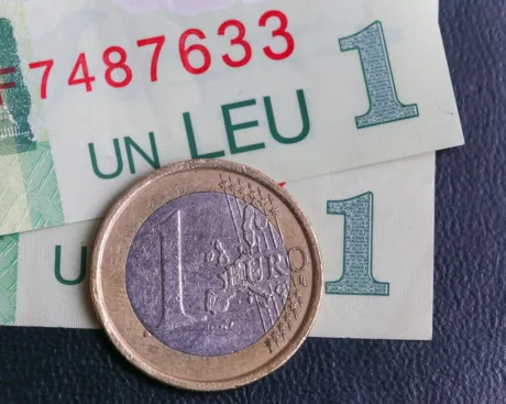 Un leu și un euro pe un fundal întunecat.