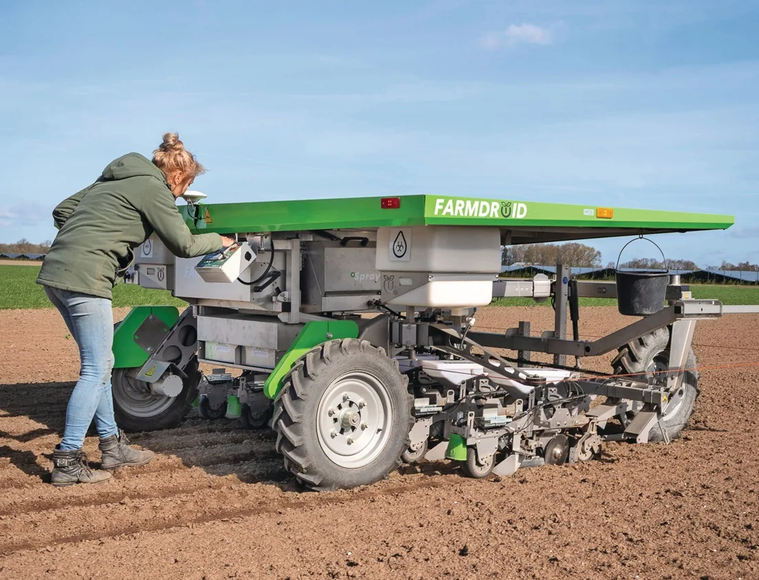 Fermier verificând robotul FarmDroid FD20 în câmpul de sfeclă de zahăr.