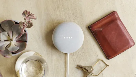 Dispozitiv Google Home pe o masă, alături de chei și plante decorative.