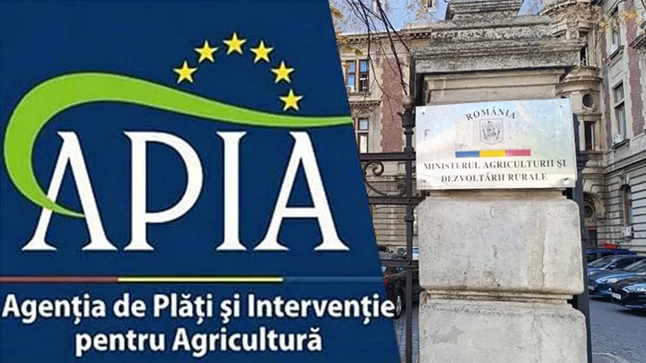 Fermierii sunt sfătuiți să depună cererile de plată la timp pentru a evita pierderile de subvenții.