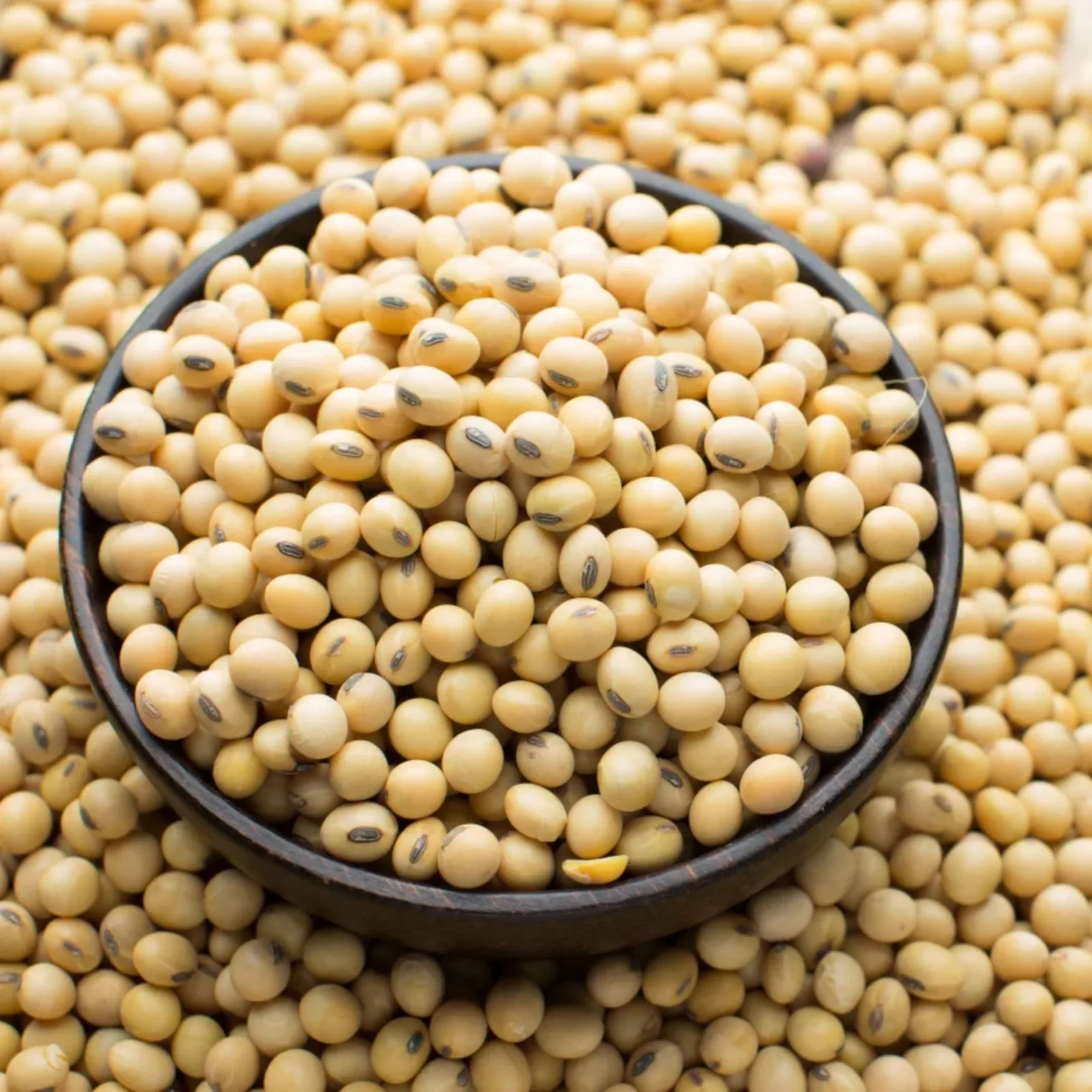 Boabe de soia într-un bol, simbolizând creșterea producției în România.