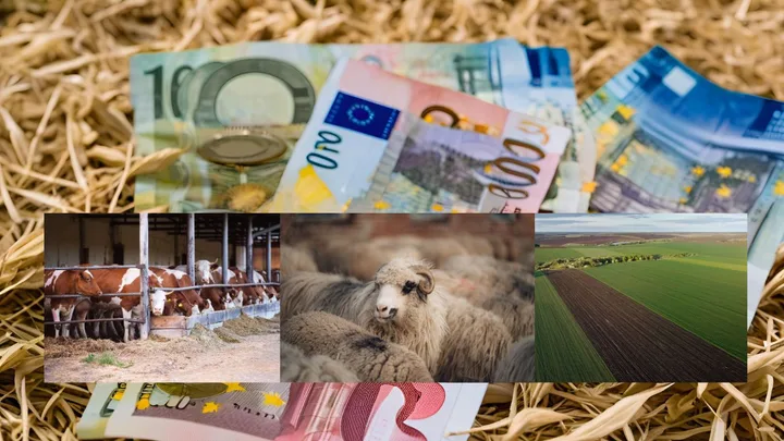 Bancnote euro și imagini cu animale și câmpuri agricole.
