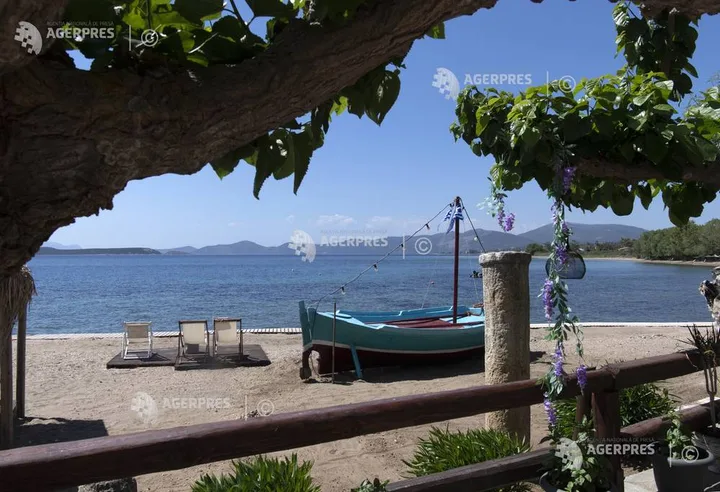 Peisaj de plajă cu bărci și șezlonguri sub copaci.