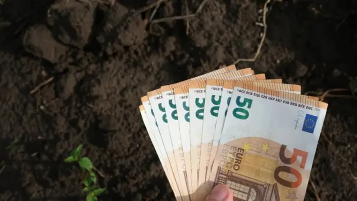 Bancnote de euro ținute în mână pe un teren agricol.