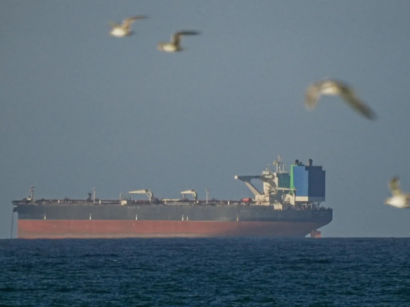 Nave comerciale navigând pe un ocean agitat, cu păsări în zbor.