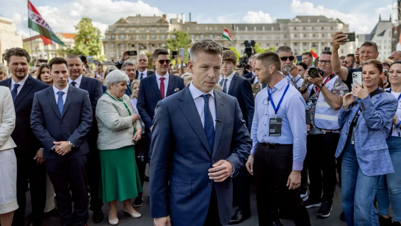 Zoltan Tarr la audierea din comisia parlamentară pentru relațiile cu diaspora maghiară.