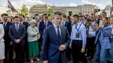 Zoltan Tarr la audierea din comisia parlamentară pentru relațiile cu diaspora maghiară.