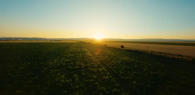 Peisaj agricol la apus, cu câmpuri întinse și cer senin.