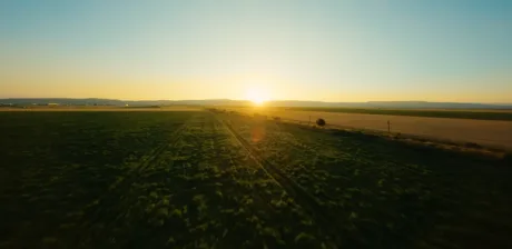 Peisaj agricol la apus, cu câmpuri întinse și cer senin.