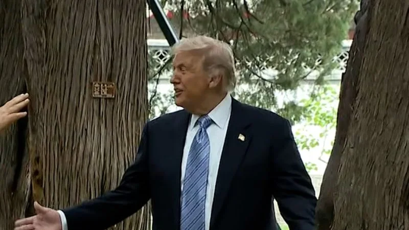 Xi Jinping și Donald Trump discutând în grădina de la Zhongnanhai.