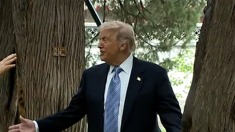 Xi Jinping și Donald Trump discutând în grădina de la Zhongnanhai.
