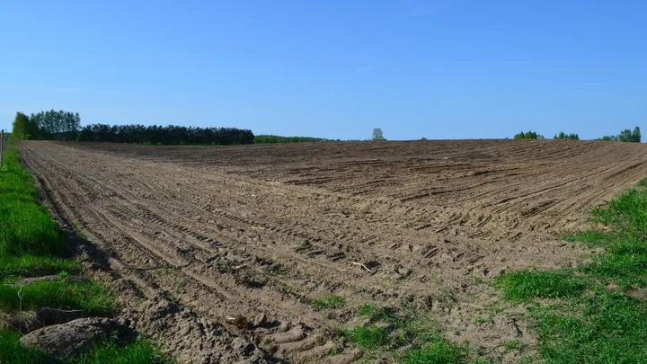 Teren agricol pregătit pentru cultivare în Ilfov, fără infrastructură adecvată.
