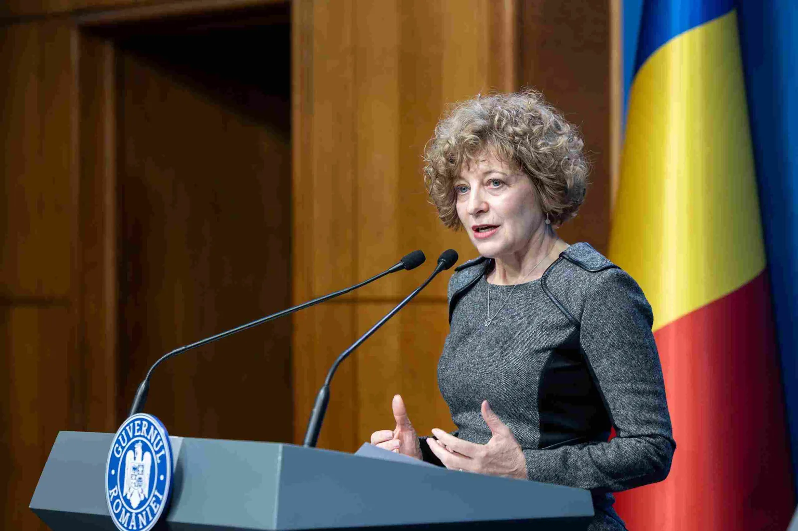 Vicepremierul Oana Gheorghiu discută despre reformele în companiile de stat.