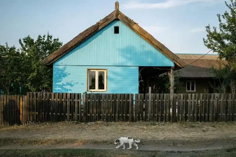 O casă tradițională din mediul rural, cu un câine pe alee.