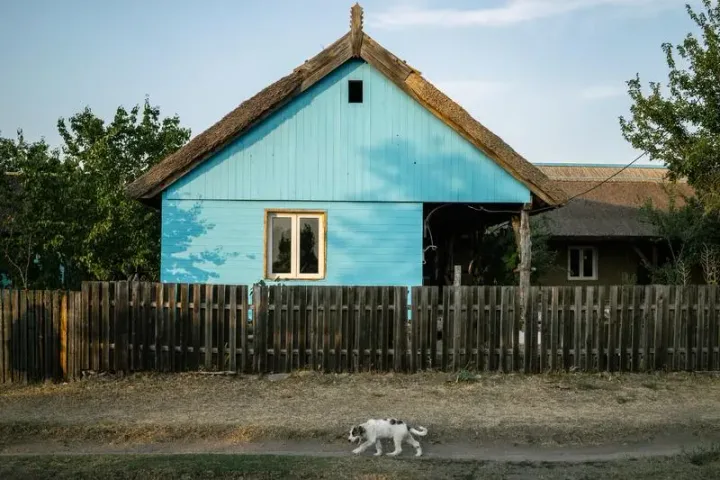 O casă tradițională din mediul rural, cu un câine pe alee.
