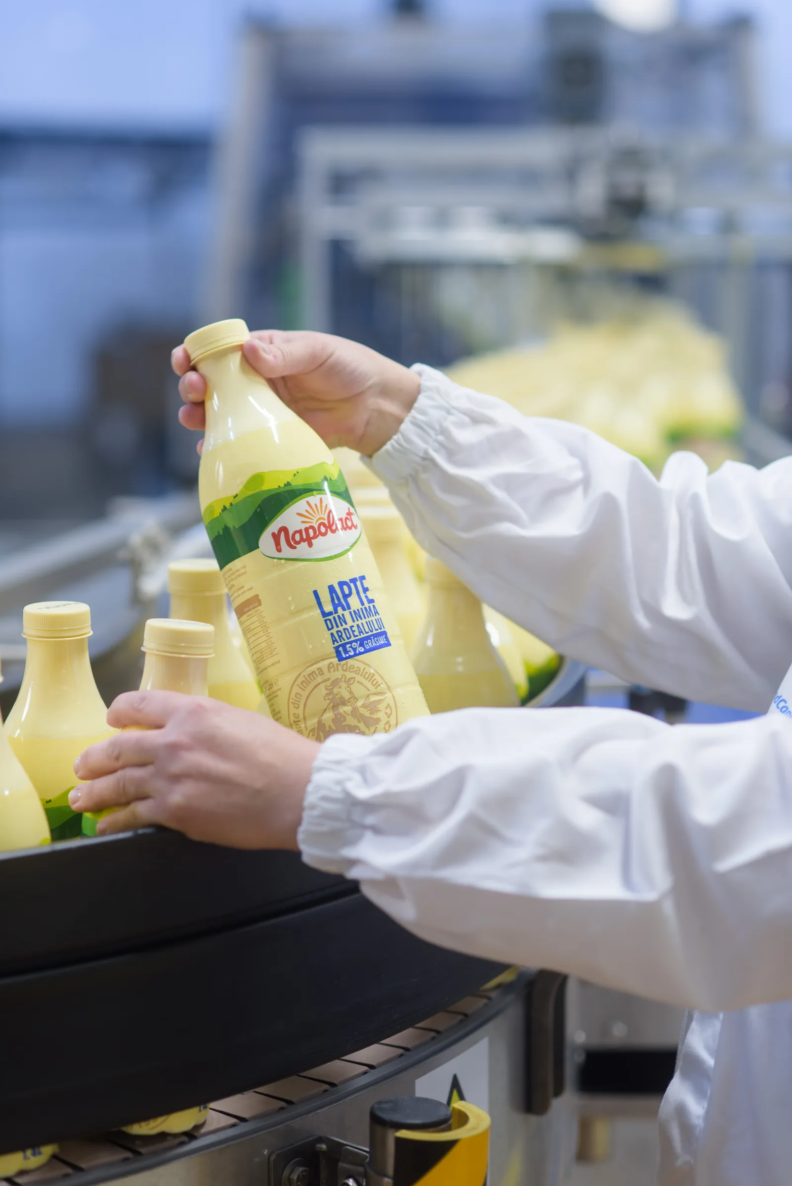 Sticle de lapte Napolact pe linia de producție, evidențiind procesul de îmbuteliere.