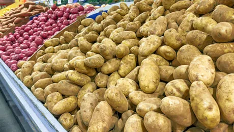 Cartofi românești proaspeți expuși la vânzare în piață.