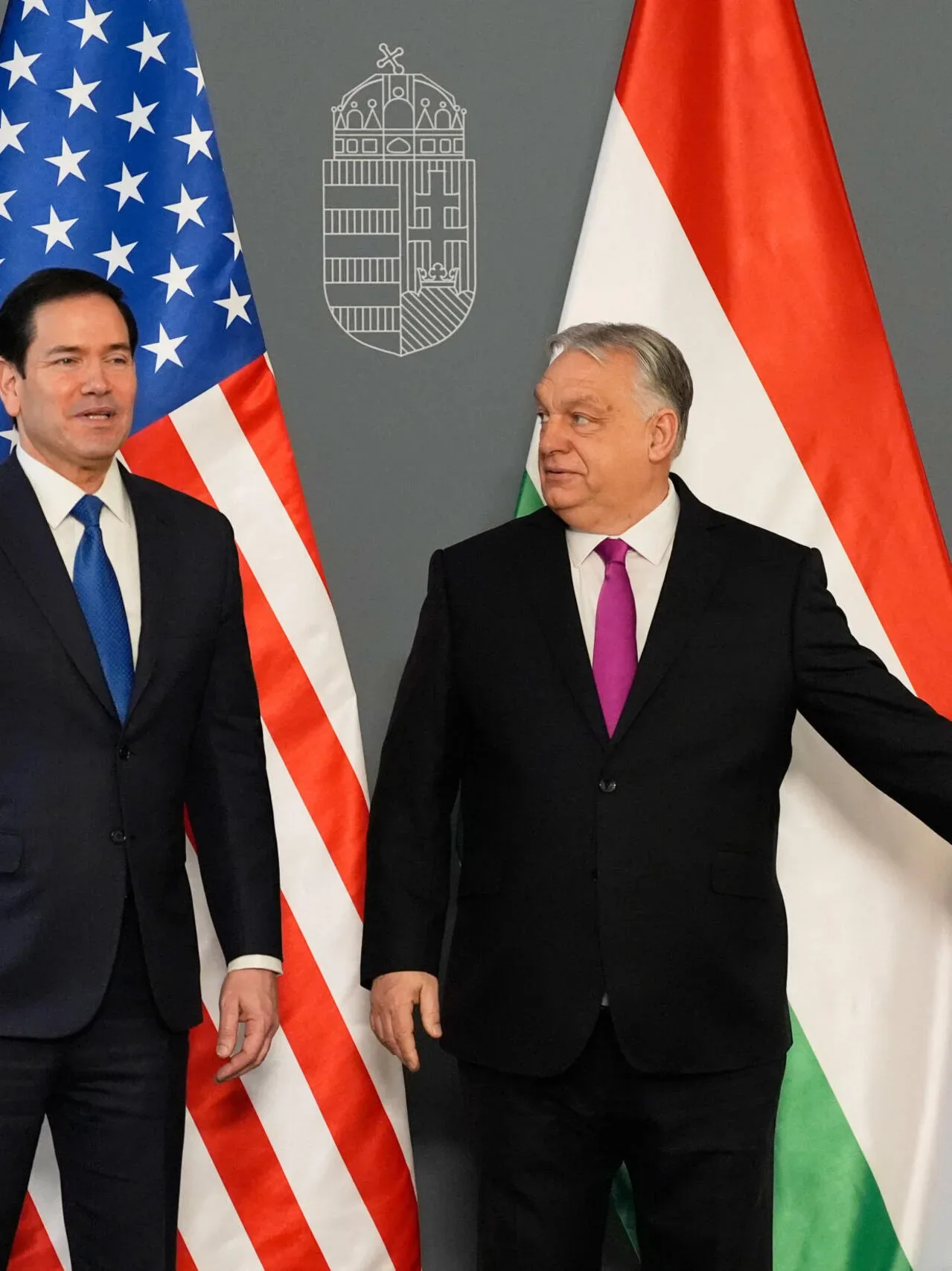 Americanii maghiari discută despre strategii electorale și influența lui Orbán.