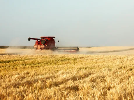 O combină agricolă lucrează pe un câmp de cereale aurii sub un cer senin.