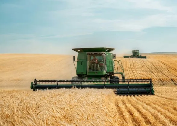 Recoltarea grâului pe câmpurile din România, cu utilaje agricole moderne.