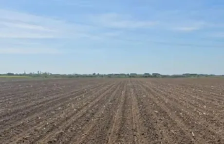 Câmp de porumb pregătit pentru semănat, sub un cer senin.