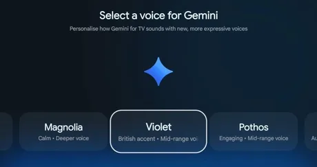 Schimbări în opțiunile vocale Gemini pentru asistentul Google.
