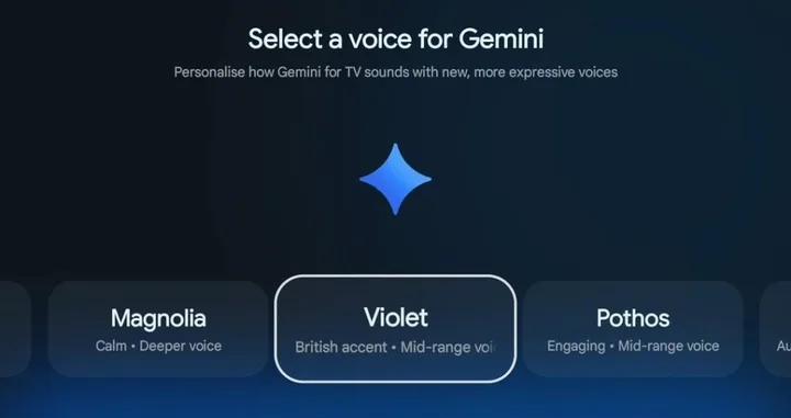 Schimbări în opțiunile vocale Gemini pentru asistentul Google.