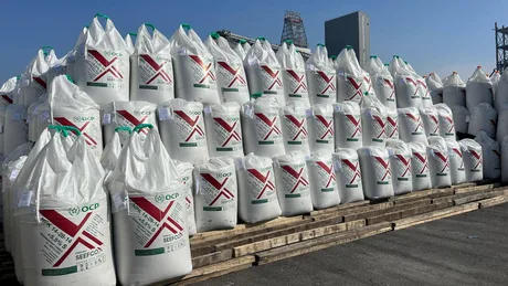 Îngrășăminte stocate pe platformă, esențiale pentru agricultură.