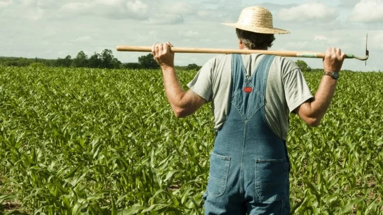 Fermier privind câmpul verde, pregătit pentru muncă agricolă.