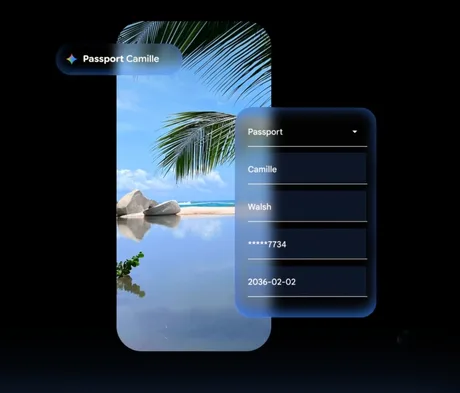 Interfață modernă cu un peisaj tropical și detalii despre pașaport.