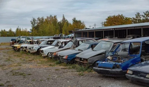Mașini vechi abandonate într-un parc auto, reflectând problemele din industria auto.