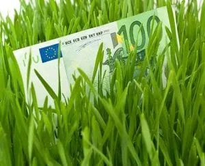 Bancnotă de euro ascunsă printre iarbă verde proaspătă.