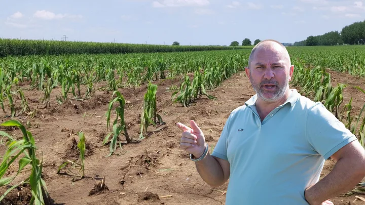 Fermier discutând despre problemele de aprovizionare cu îngrășăminte în câmpul său.