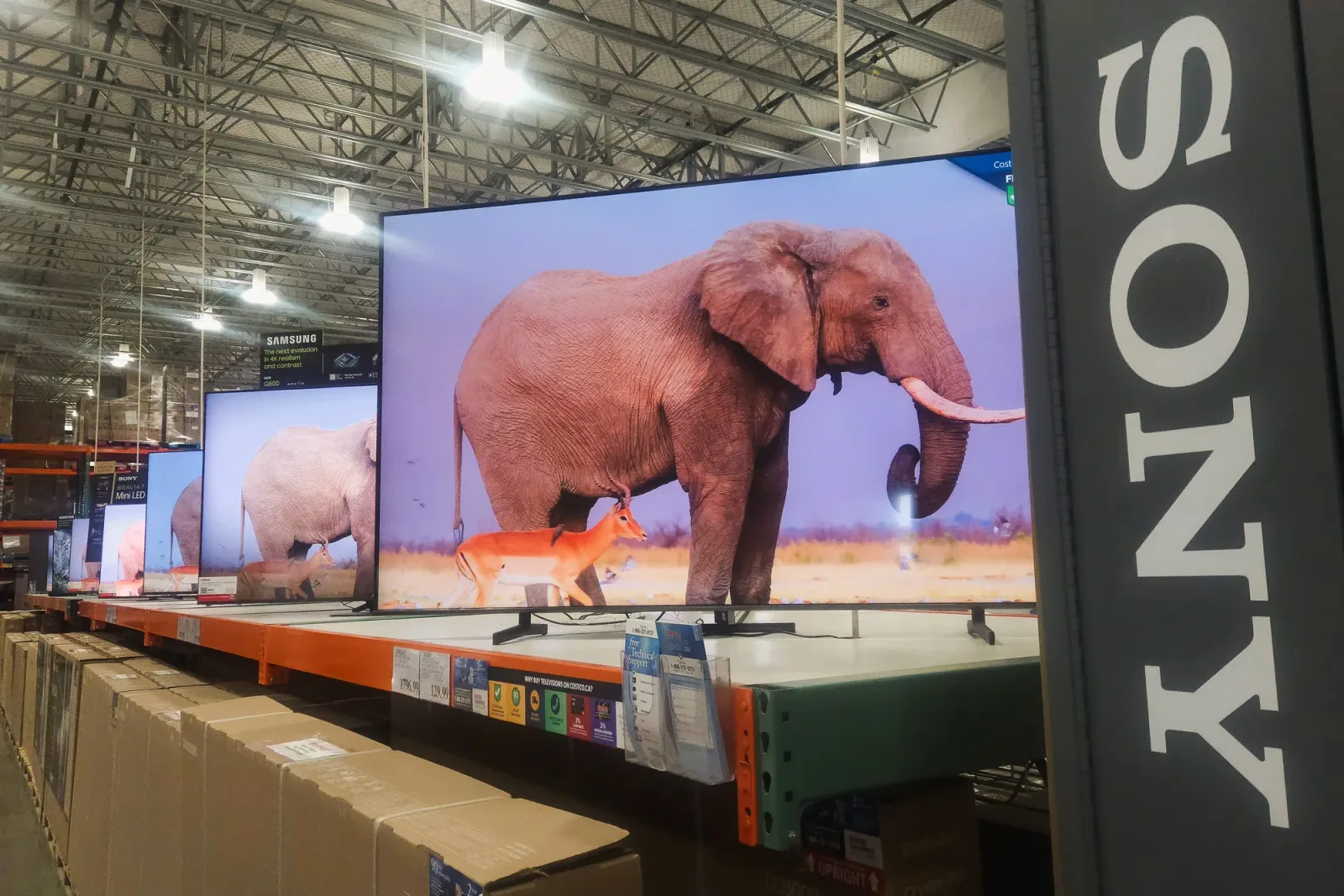 Televizoare Sony expuse într-un magazin, cu un elefant pe ecran.