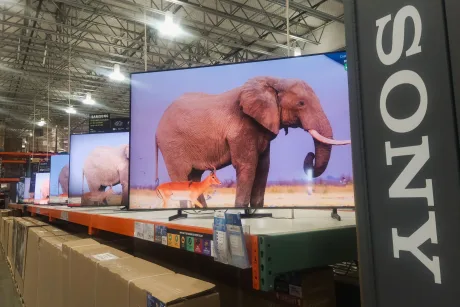 Televizoare Sony expuse într-un magazin, cu un elefant pe ecran.