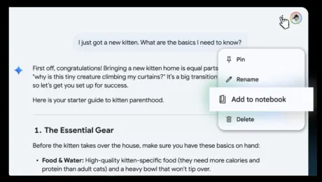 Funcția Notebooks din Google Gemini devine accesibilă utilizatorilor gratuit.