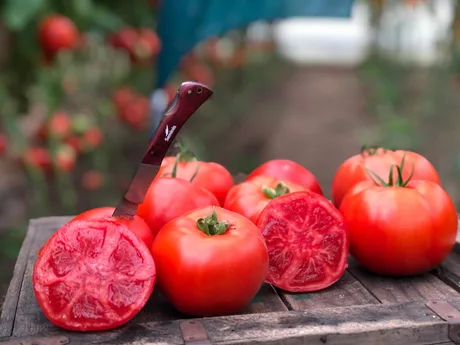 Roșii proaspete și coapte, pregătite pentru vânzare în piață.