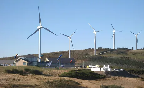 Parcuri eoliene afectate de atacuri coordonate în cinci județe.